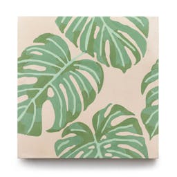 Monstera 8x8 - Product page image carousel thumbnail 1