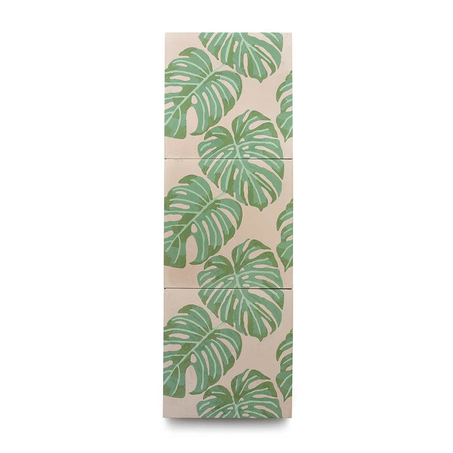Monstera 8x8 - Product page image carousel 1