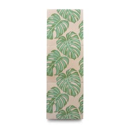 Monstera 8x8 - Product page image carousel thumbnail 3