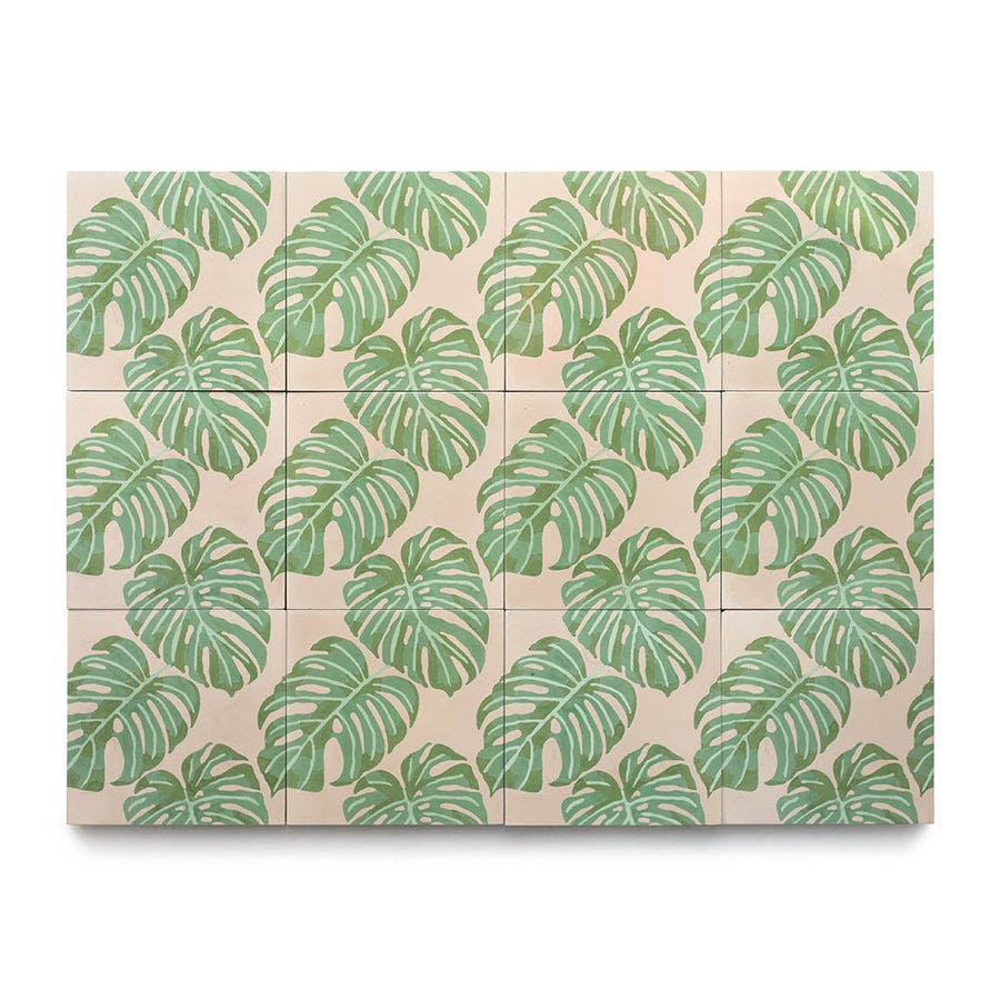 Monstera 8x8 - Product page image carousel 1