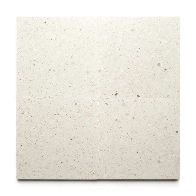Neutra 12x12 - Featured products Terrazzo Tile Product list
